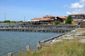 Photo de la commune de Gujan-Mestras