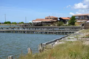 Photo de la commune de Gujan-Mestras
