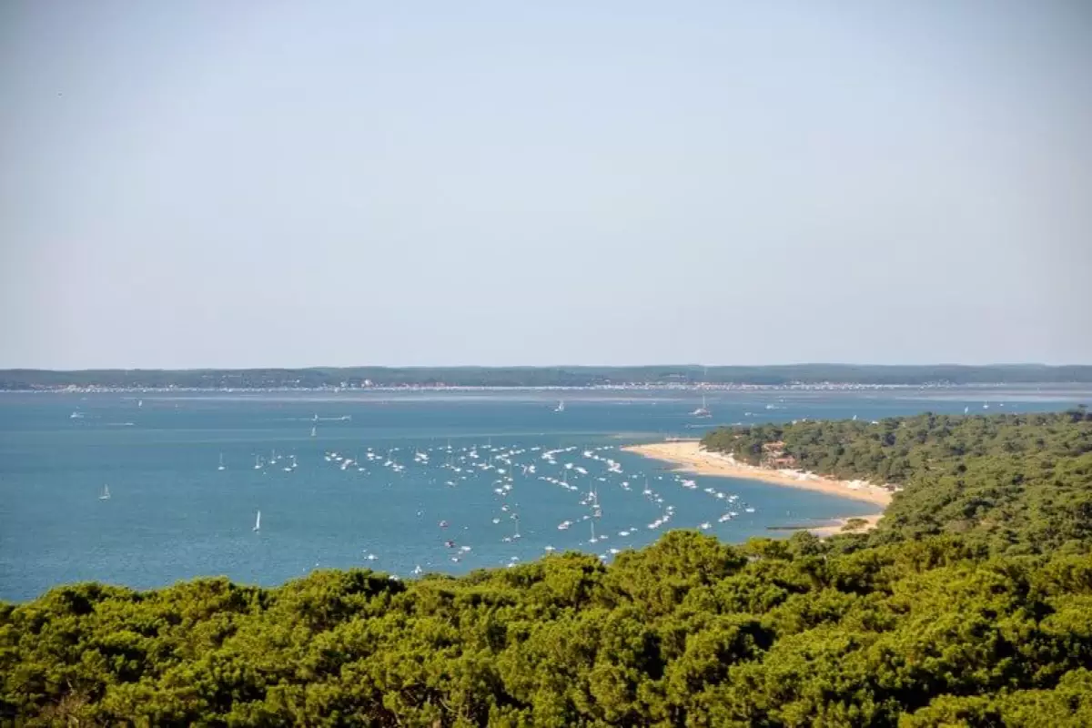 Relance promotion neuve - vue sur la forêt des Landes