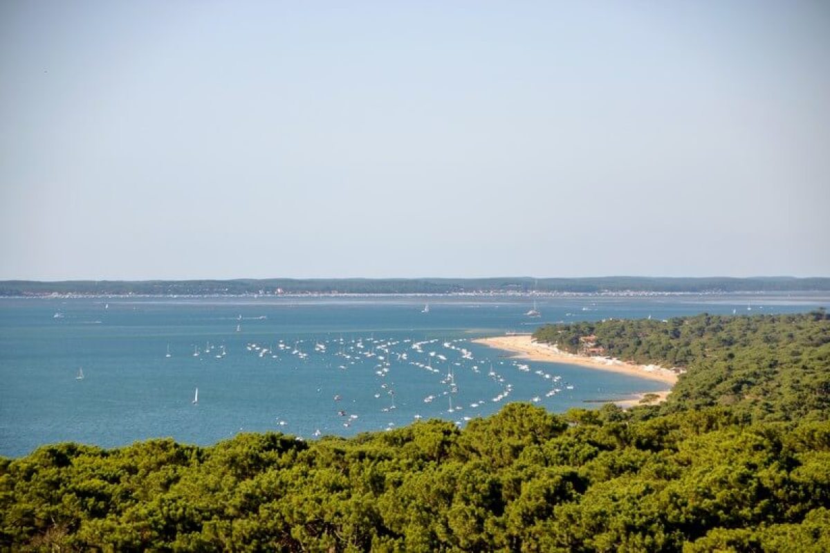 Relance promotion neuve - vue sur la forêt des Landes