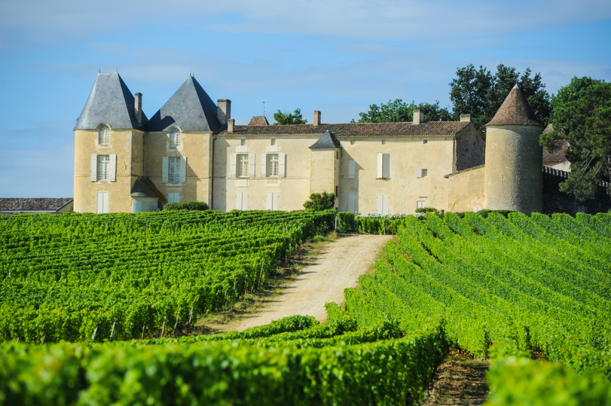 Immobilier à Bordeaux - vue sur le Vignoble et château d'Yquem