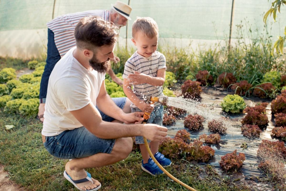 Logement BEPOS Écologie - un père et son fils jardinent