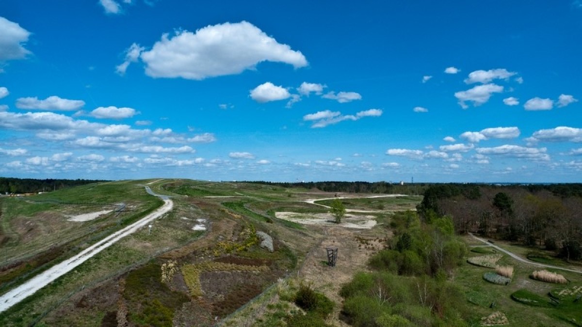 Pessac quartier annexe de Bordeaux - vue sur la forêt du Bourgailh