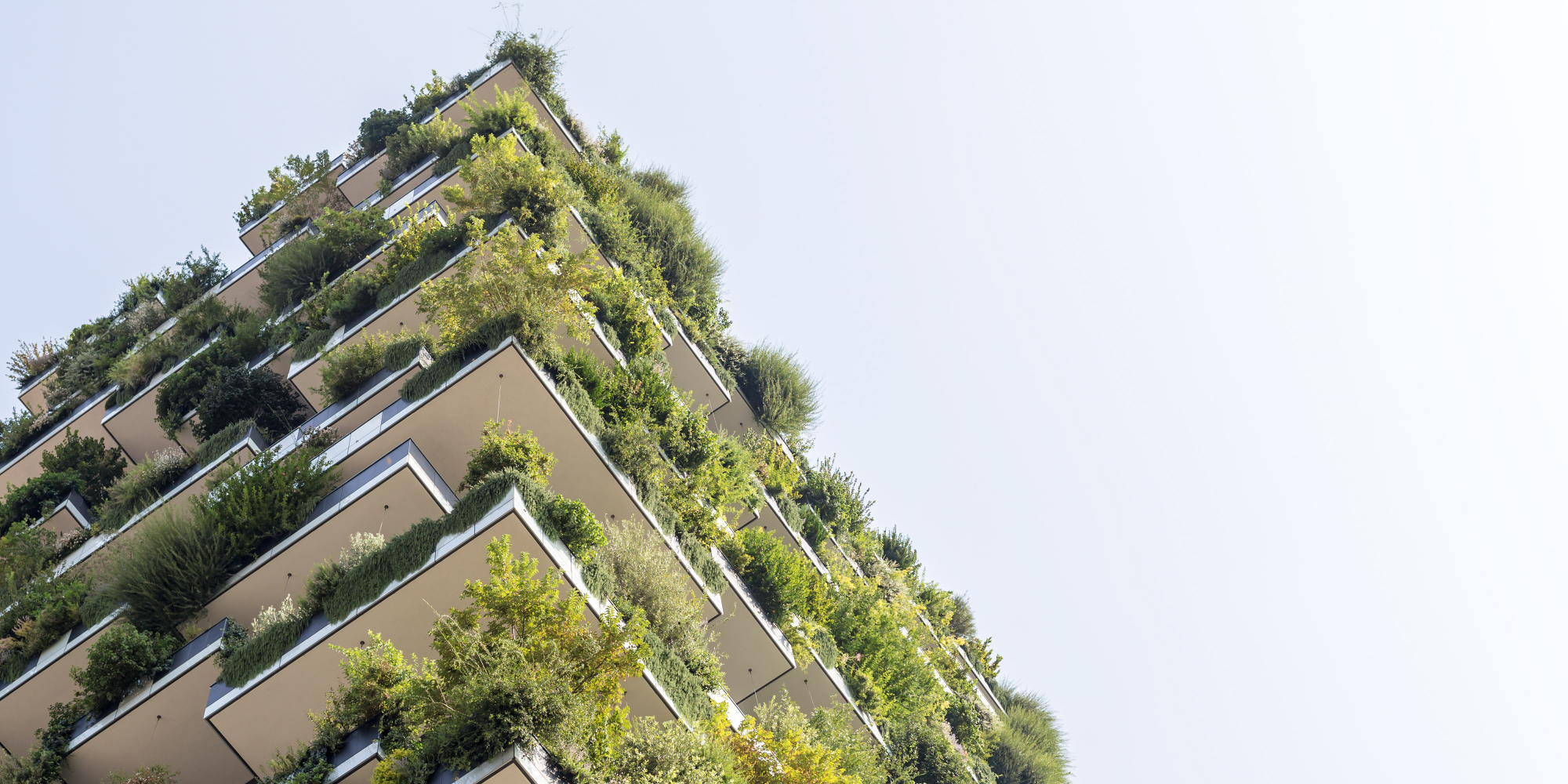 Bâtiment végétalisé et écoresponsable