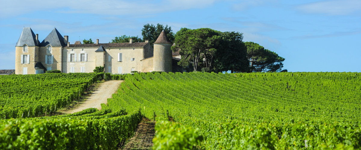 Un vignoble de Bordeaux Histoire de Bordeaux - Les vignobles d'Aquitaine et le château d'Yquem