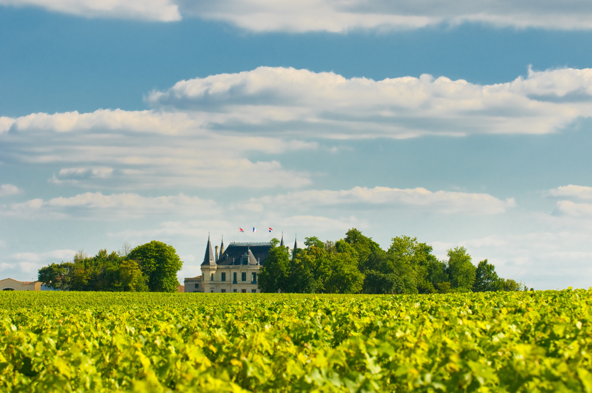 Le château de Margaux et ses vignobles à Bordeaux