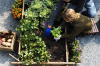 developpement durable bordeaux - une famille ramassant des légumes dans un potager