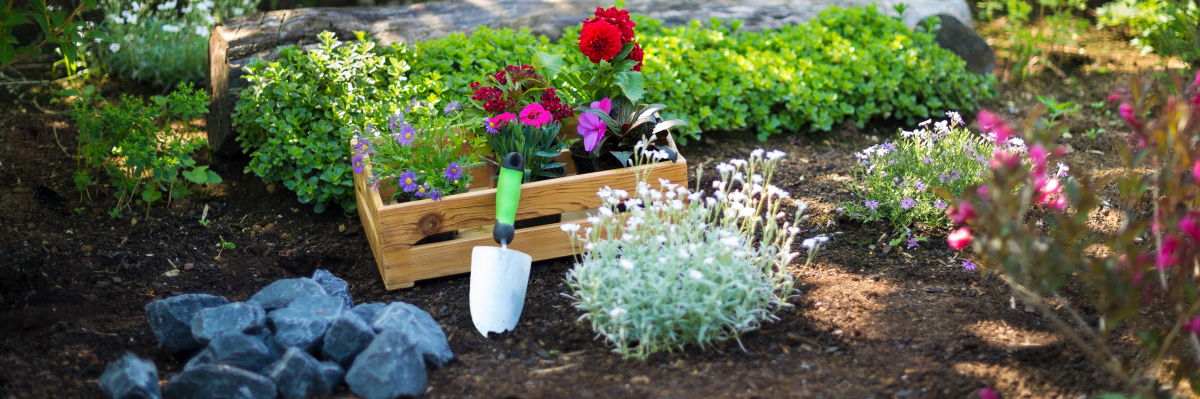 developpement durable bordeaux - un jardin fleuri