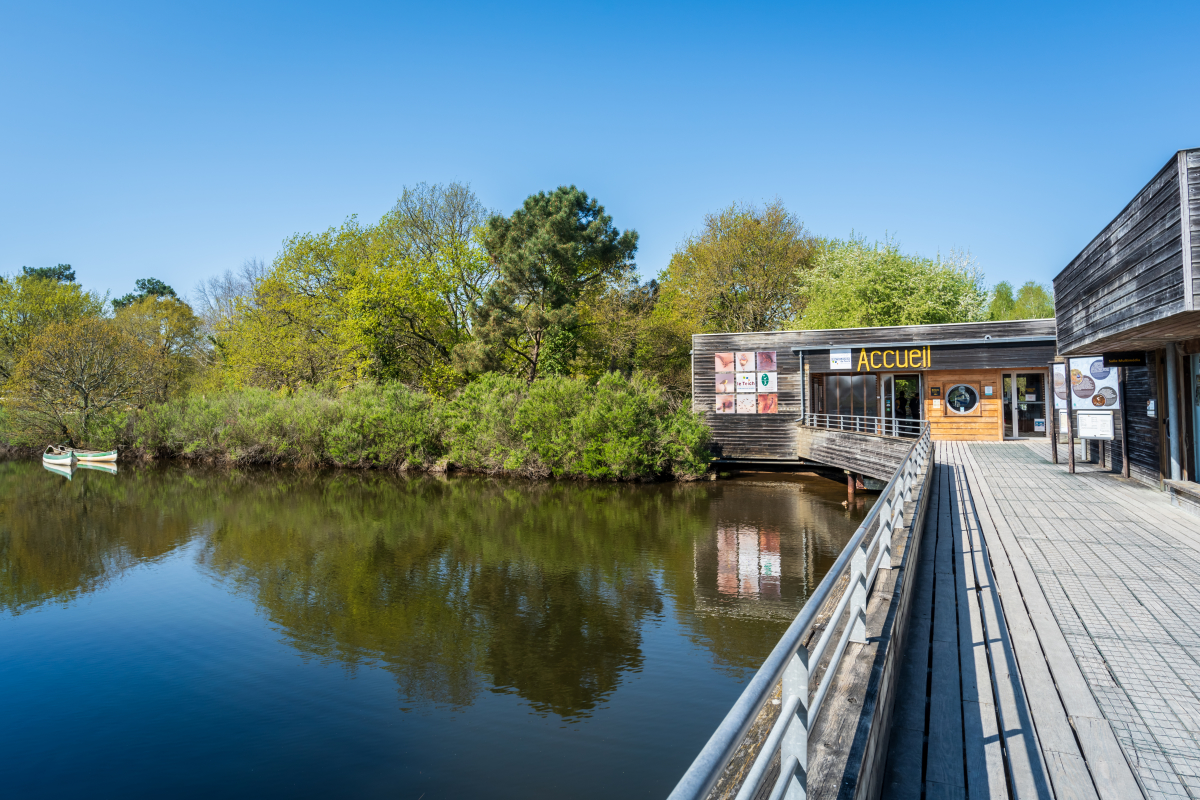 Réserveornithologique à Le teich