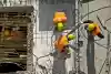 ouvriers sur un chantier toulousain