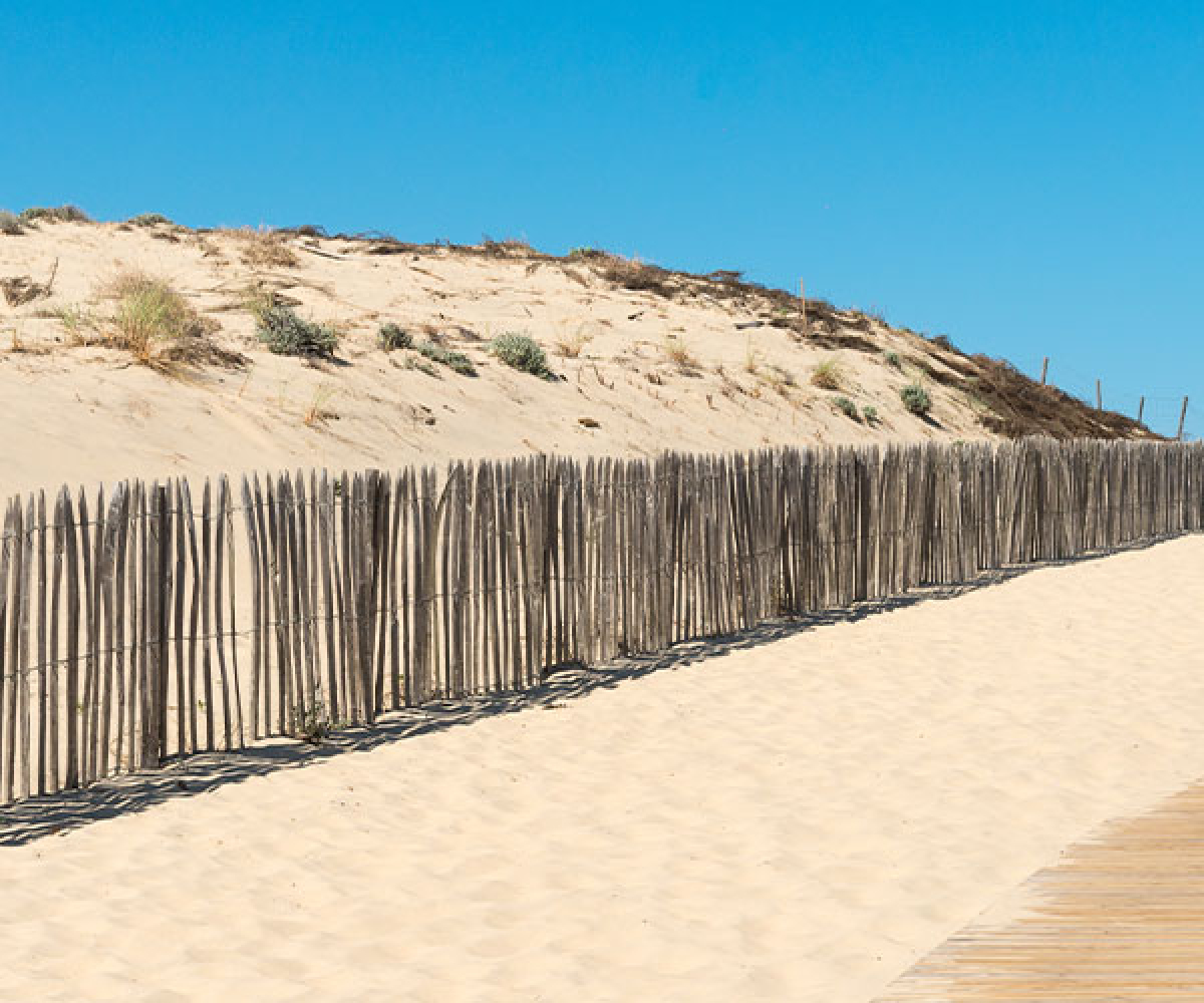 Programme neuf Gaïa : Appartements neufs à Biscarrosse référence 5964, aperçu n°3