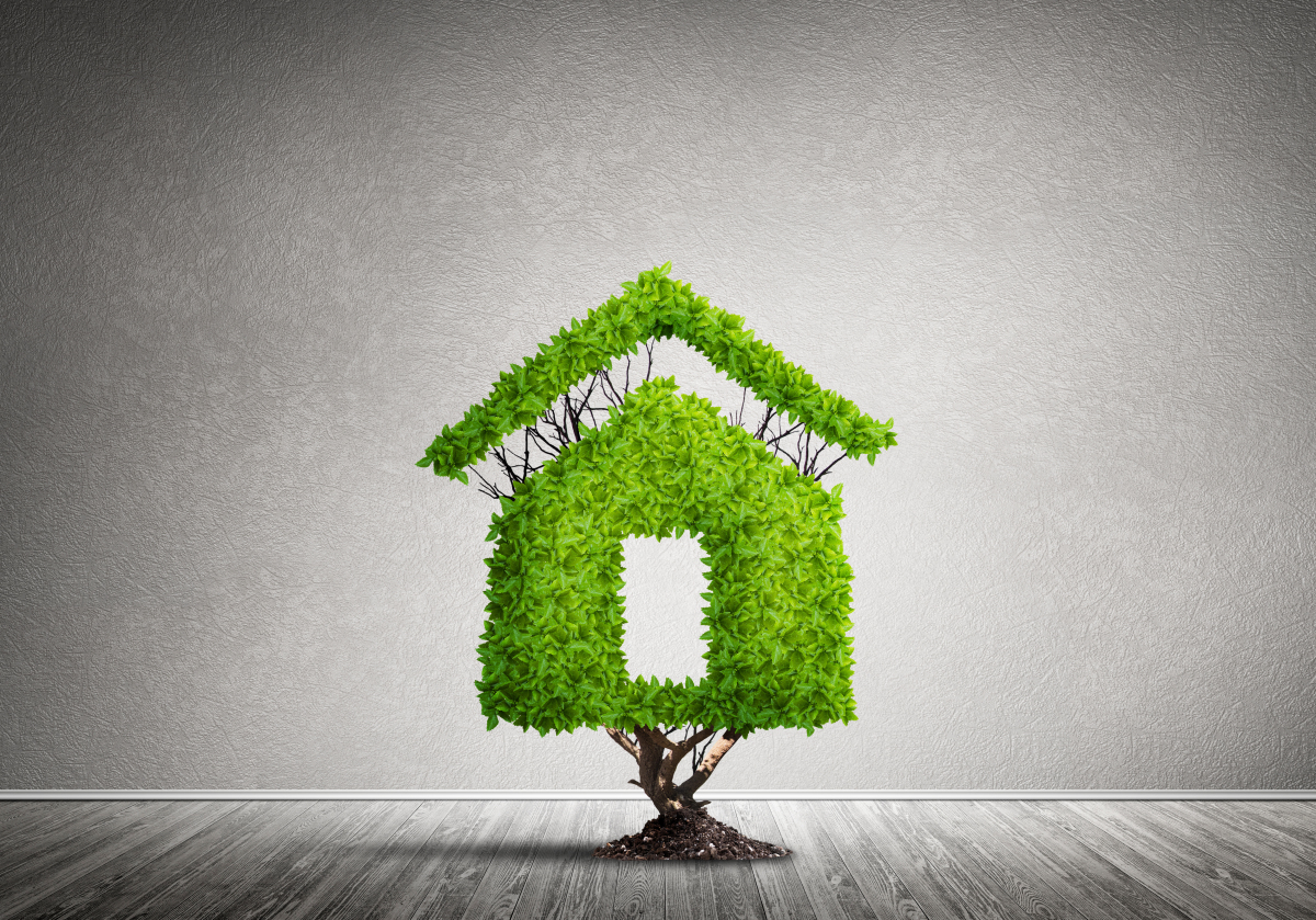 Éco-matériaux : Bâtir un futur durable dans la construction immobilière