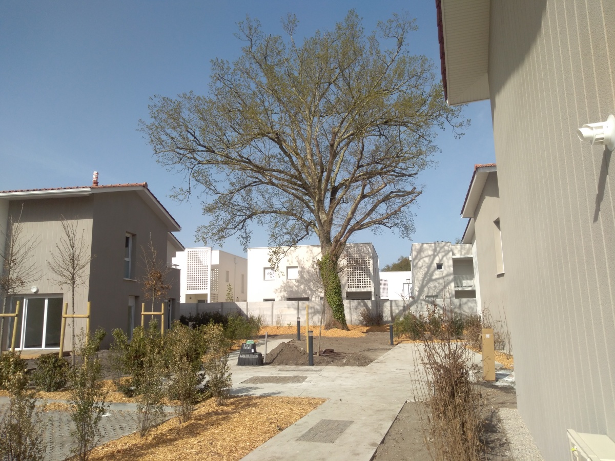 Programme neuf Terrasses du médoc : Appartements neufs à Parempuyre référence 5801, aperçu n°0