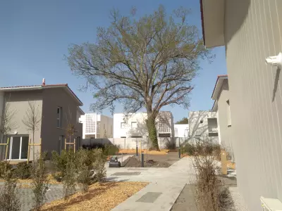 Programme neuf Terrasses du médoc : Résidences neuves Parempuyre référence 5801