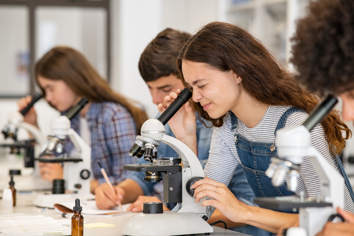 meilleures écoles – des lycéens en cours de sciences