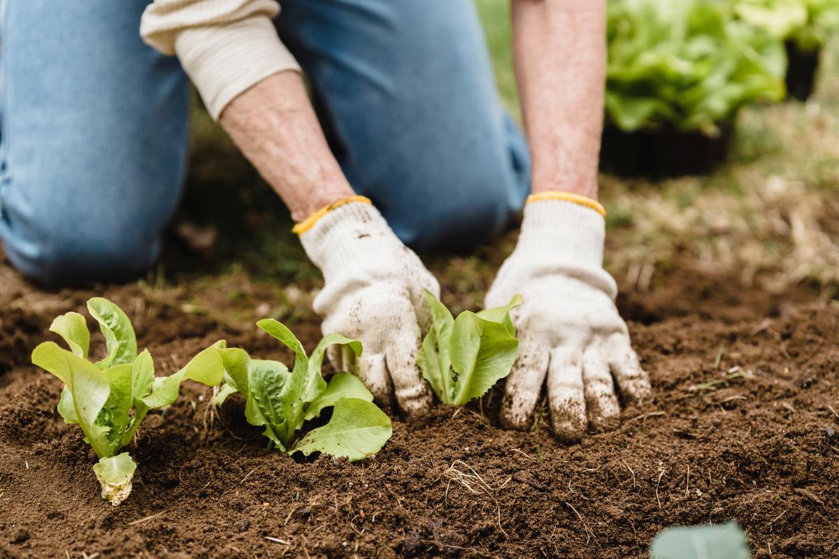 Le salon du logement démocratise la permaculture