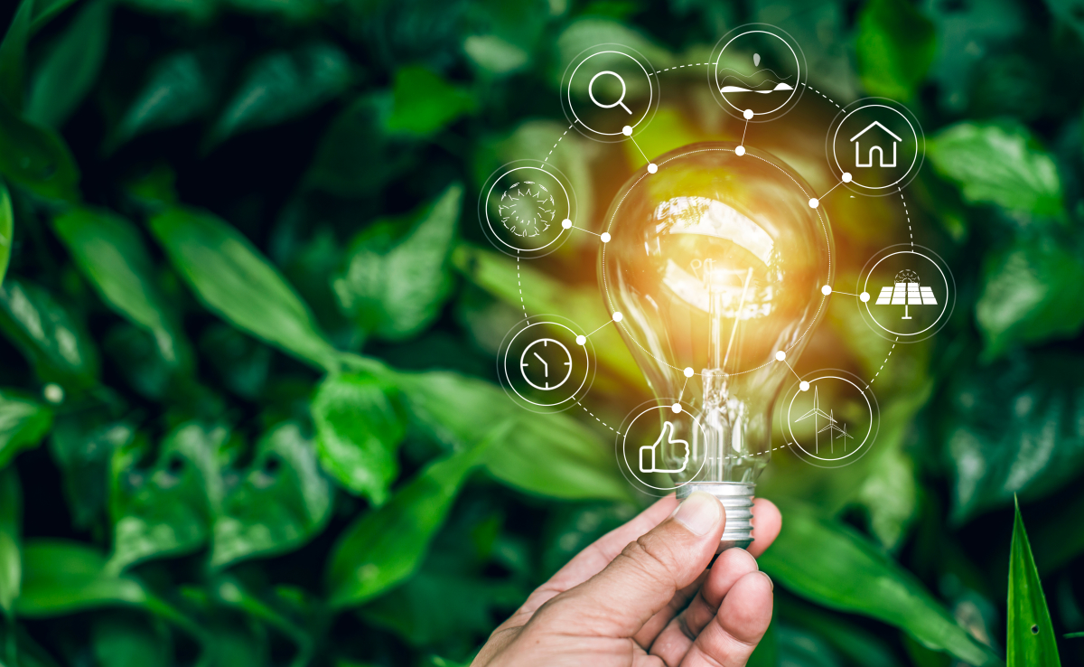 Les enjeux socio-économiques de la loi TRACE ampoule sur fond de verdure