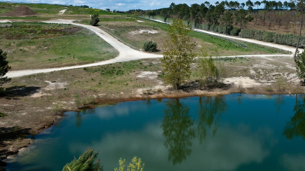 Où vivre autour de Bordeaux en famille – L'étang de la forêt du Bourghail à Pessac