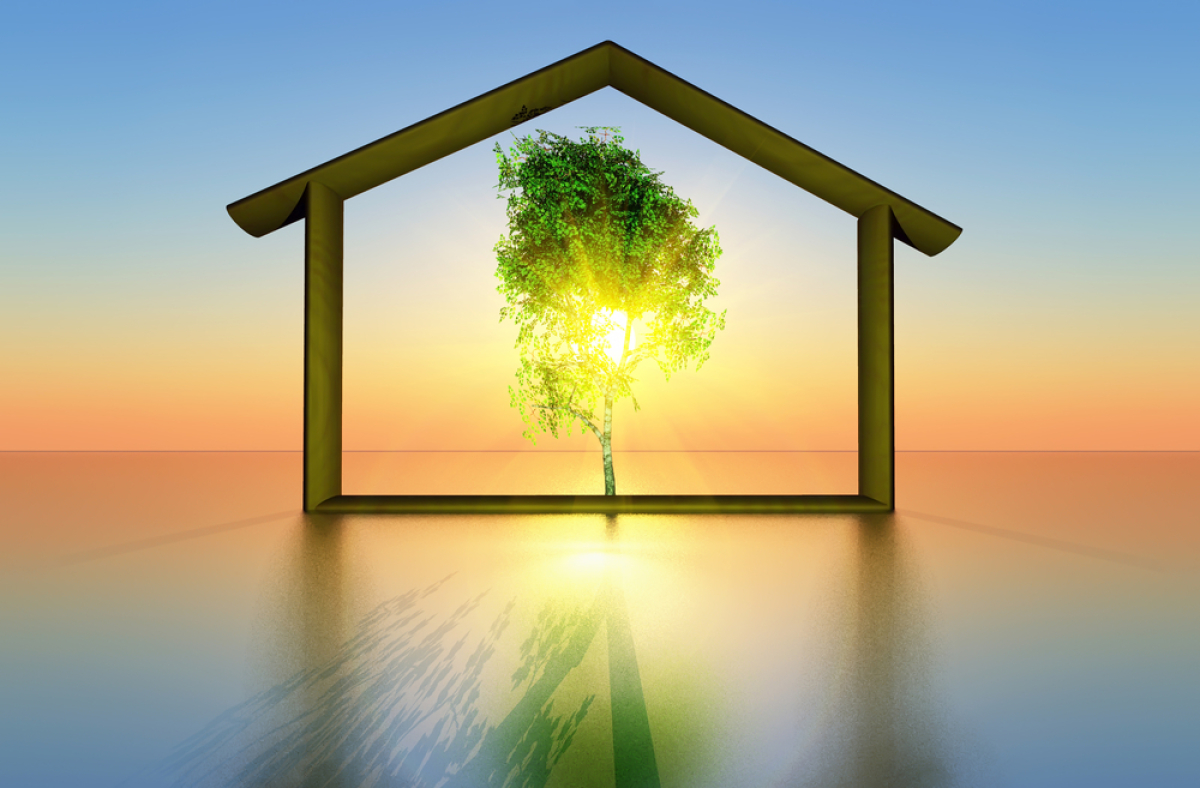 Le décret Pinel+ promulgué à Bordeaux Pinel+ Bordeaux – une maison avec un arbre au milieu