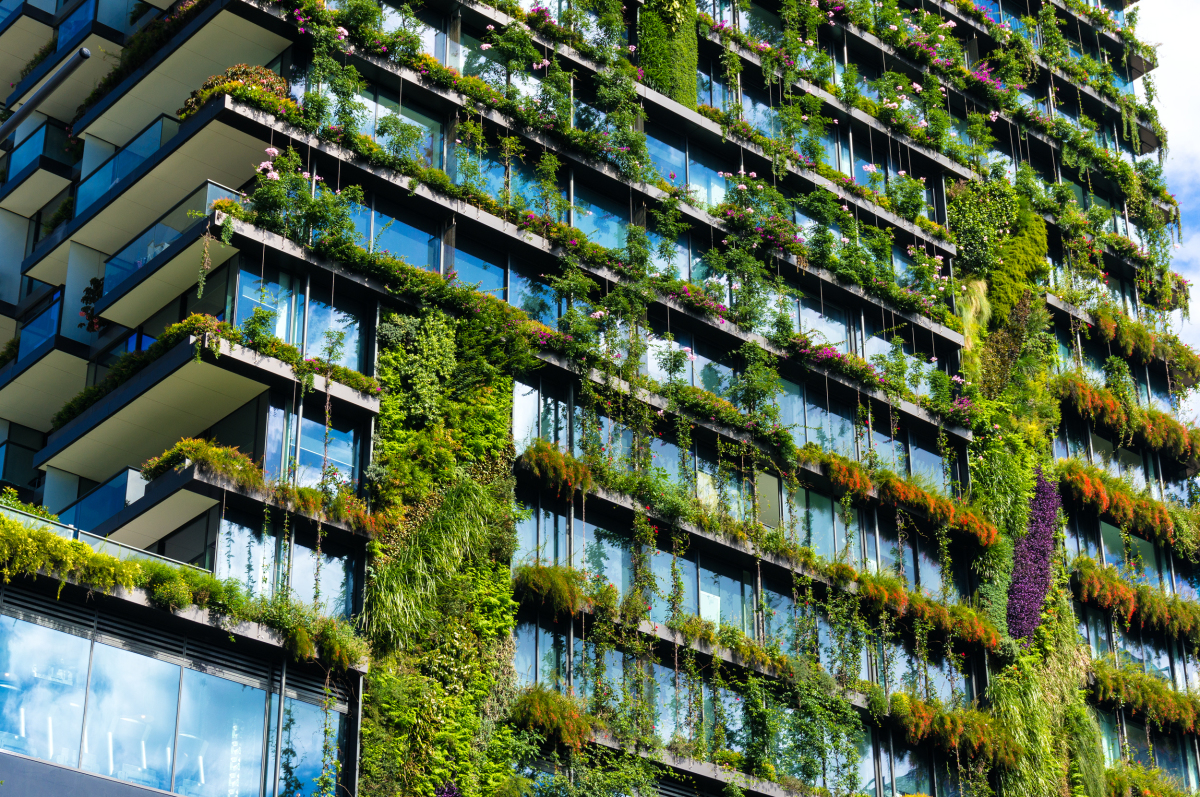 Vue sur un immeuble moderne et végétalisé