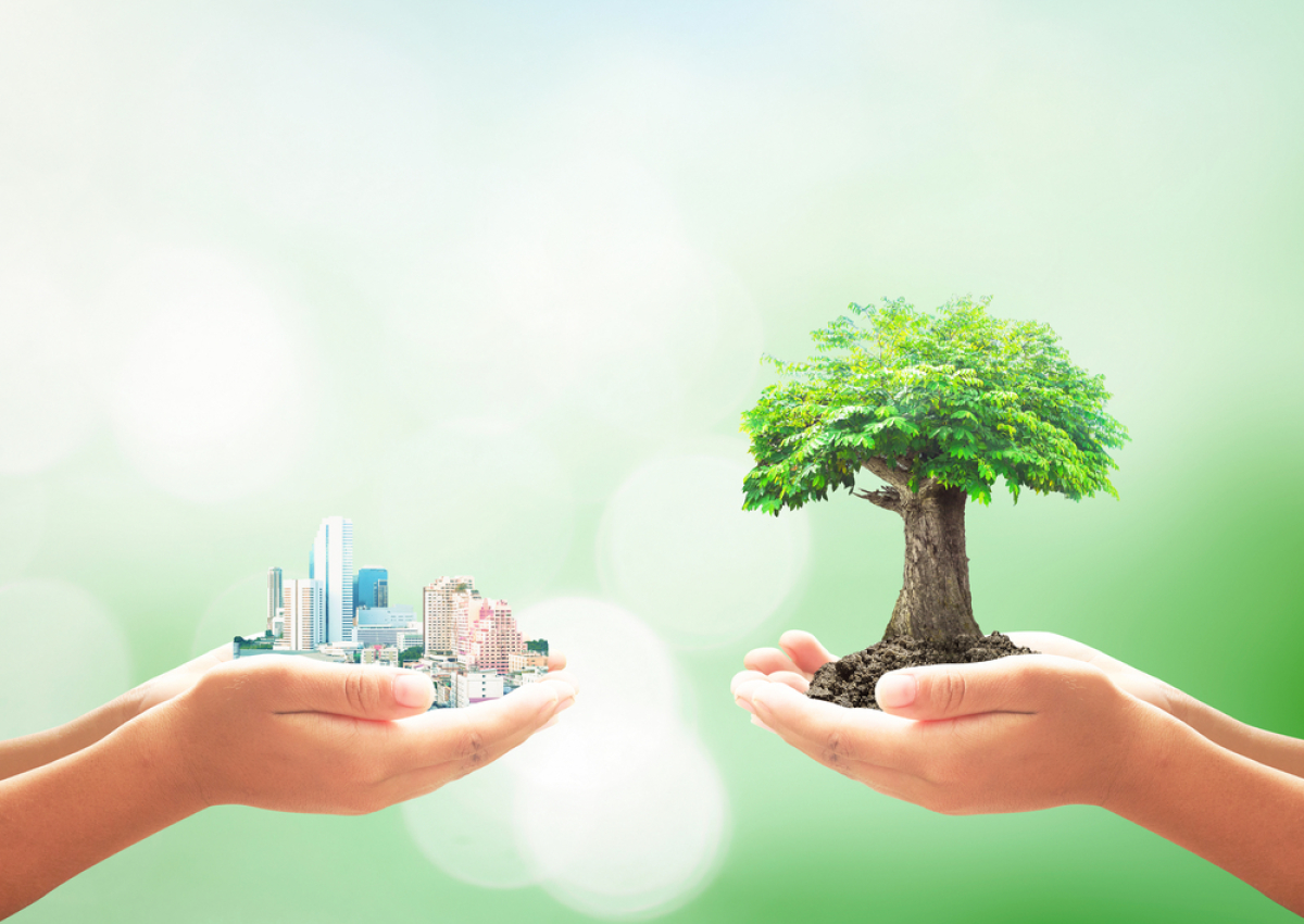 Investir dans l’immobilier durable en Pinel 2023 est rentable Loi Pinel 2023 – Image symbolique de la nature en ville