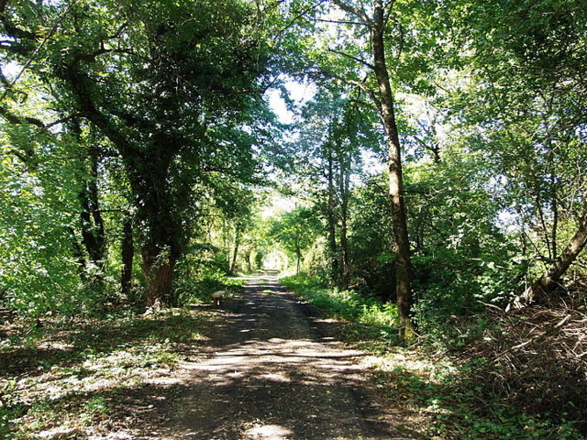 Loi Pinel Bruges – promenade dans les marais de Bruges