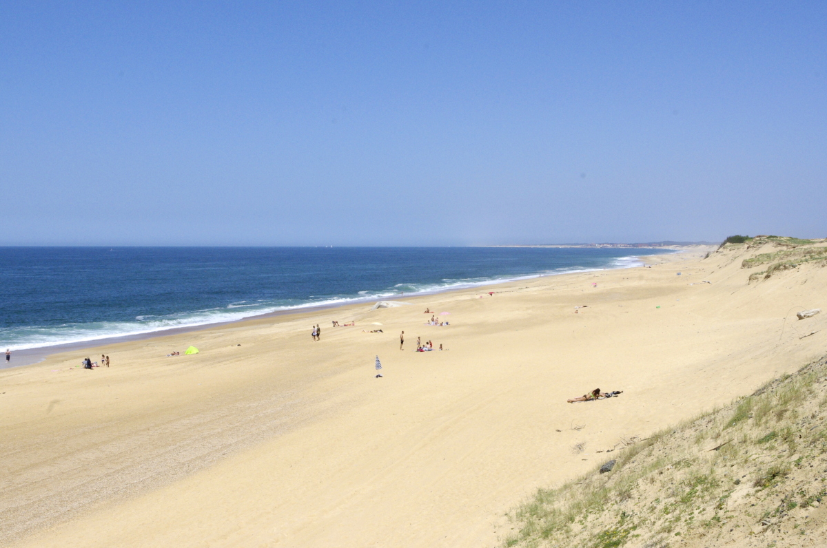 Loi Pinel Labenne – la plage de Labenne