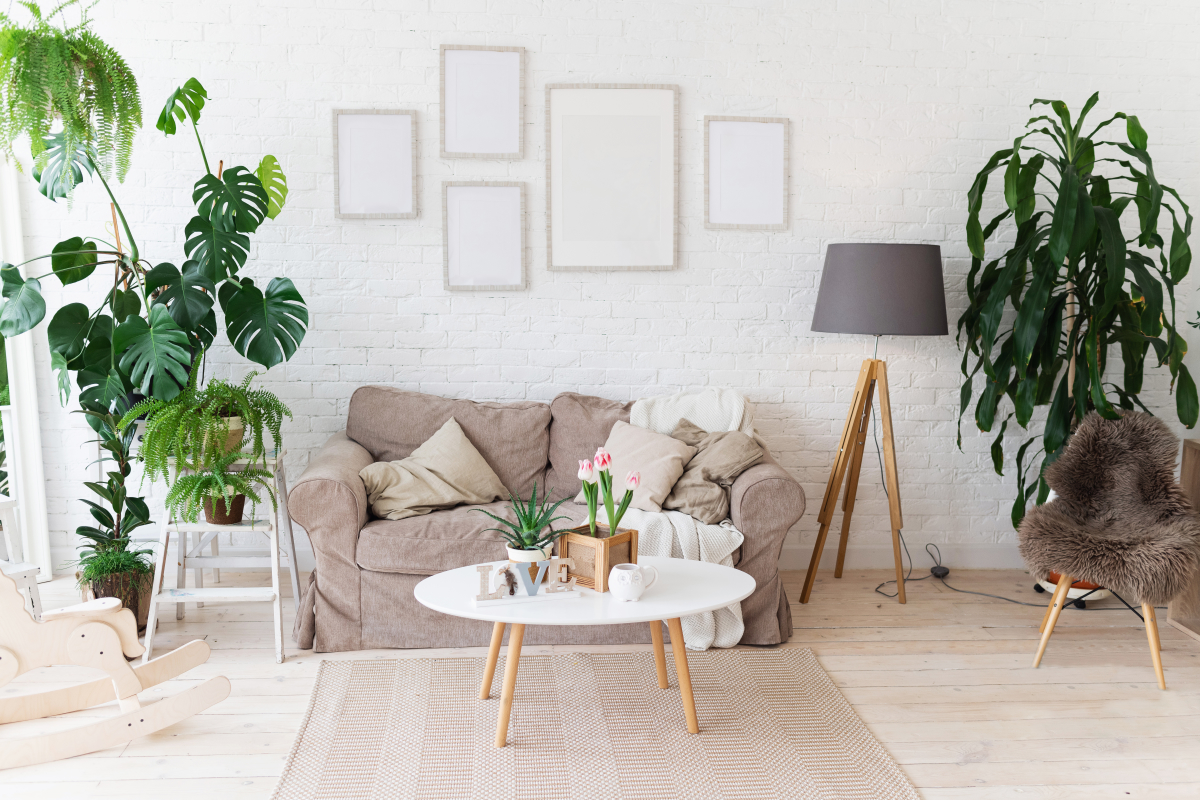 Programme neuf Cantegrit : Appartements neufs à Ondres référence 7403, aperçu n°1