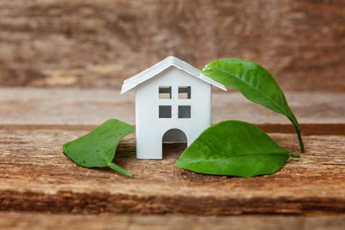 loi pinel plus confort d’usage – maison et feuilles représentant l’immobilier écologique
