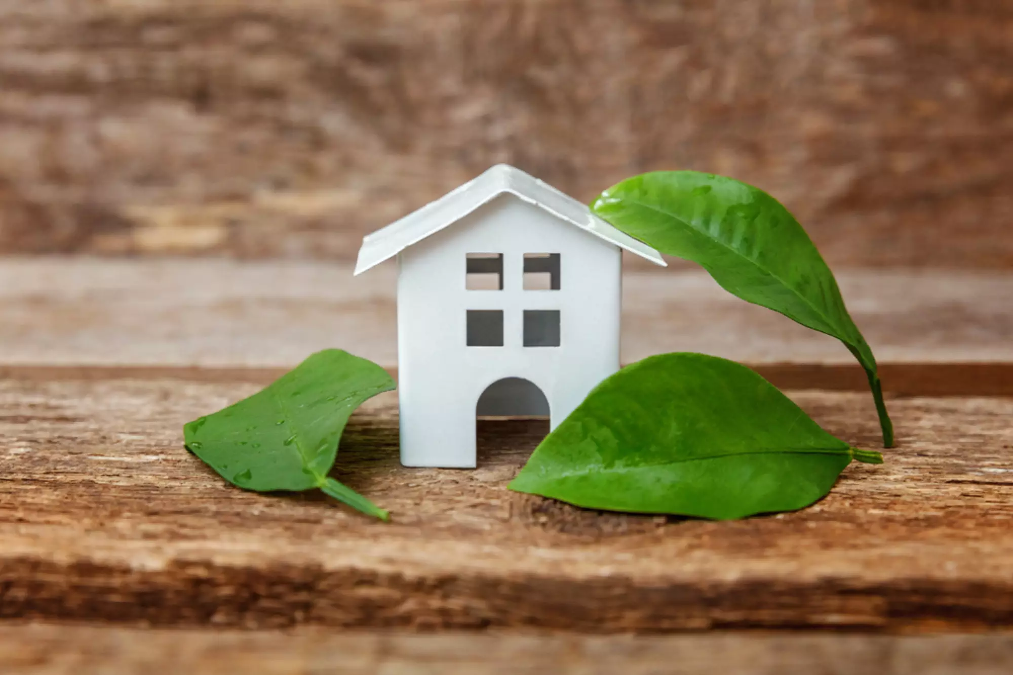 Concept d'immobilier durable
