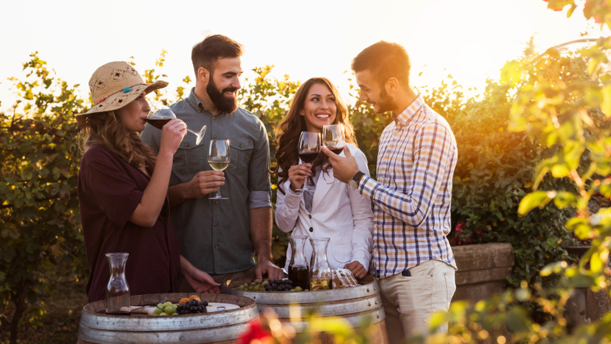 Un groupe d'amis prend l'apéro dans les vignes