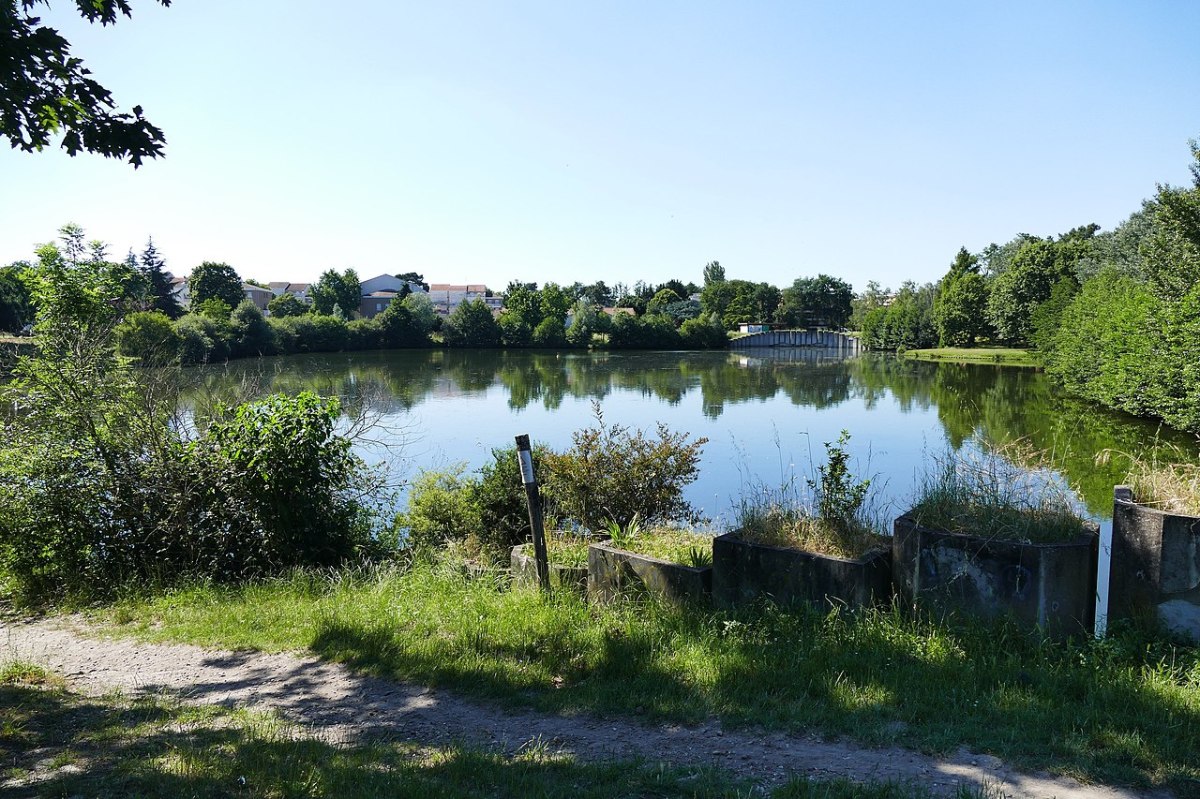 Villenave d'Ornon possède de nombreux espaces verts où se promener Un parc arboré dans la ville de Villenave d'Ornon
