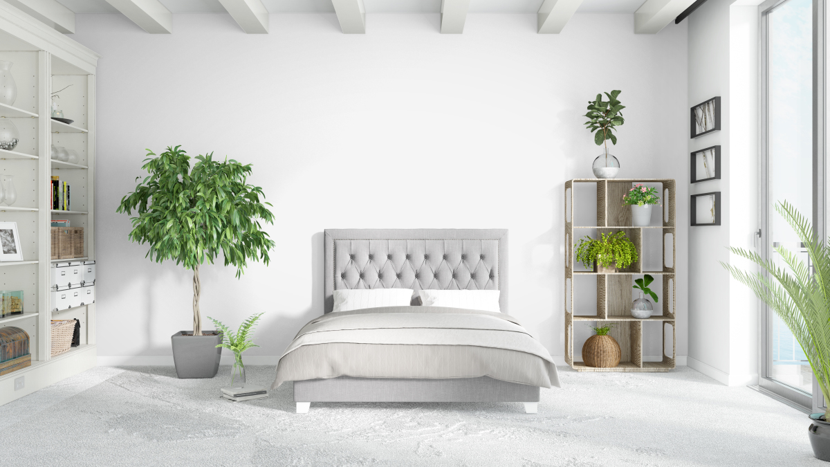 Un appartement plus grand permettra à chacun d’avoir sa propre chambre Typologie d'appartement – Une chambre riche en plantes vertes