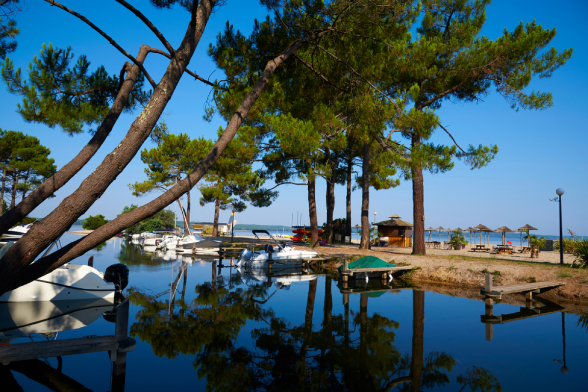 Un port sur la côte atlantique bordé de pin