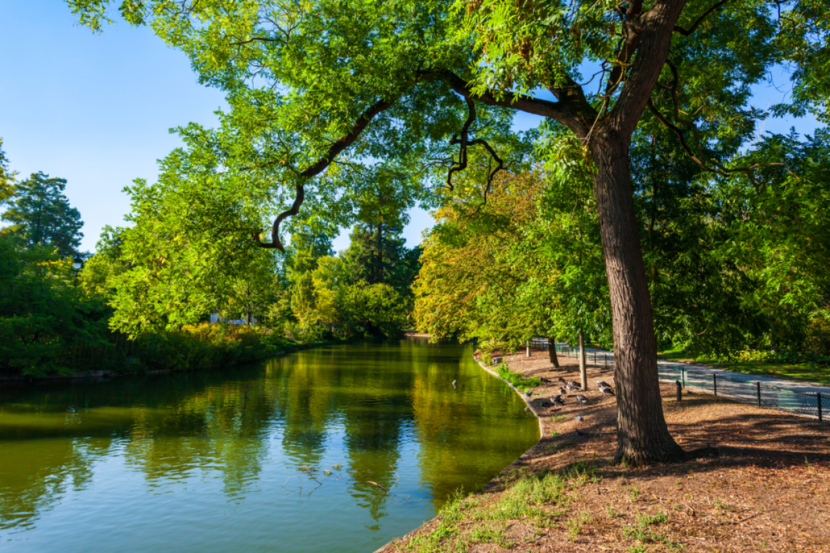 Plan local urbanisme Bordeaux 2024 — Une vue du jardin public de Bordeaux