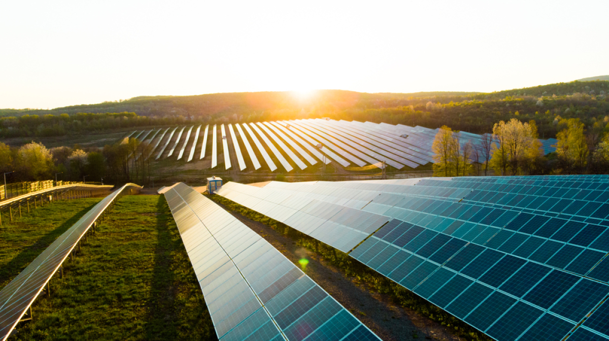 un champs de panneaux solaires