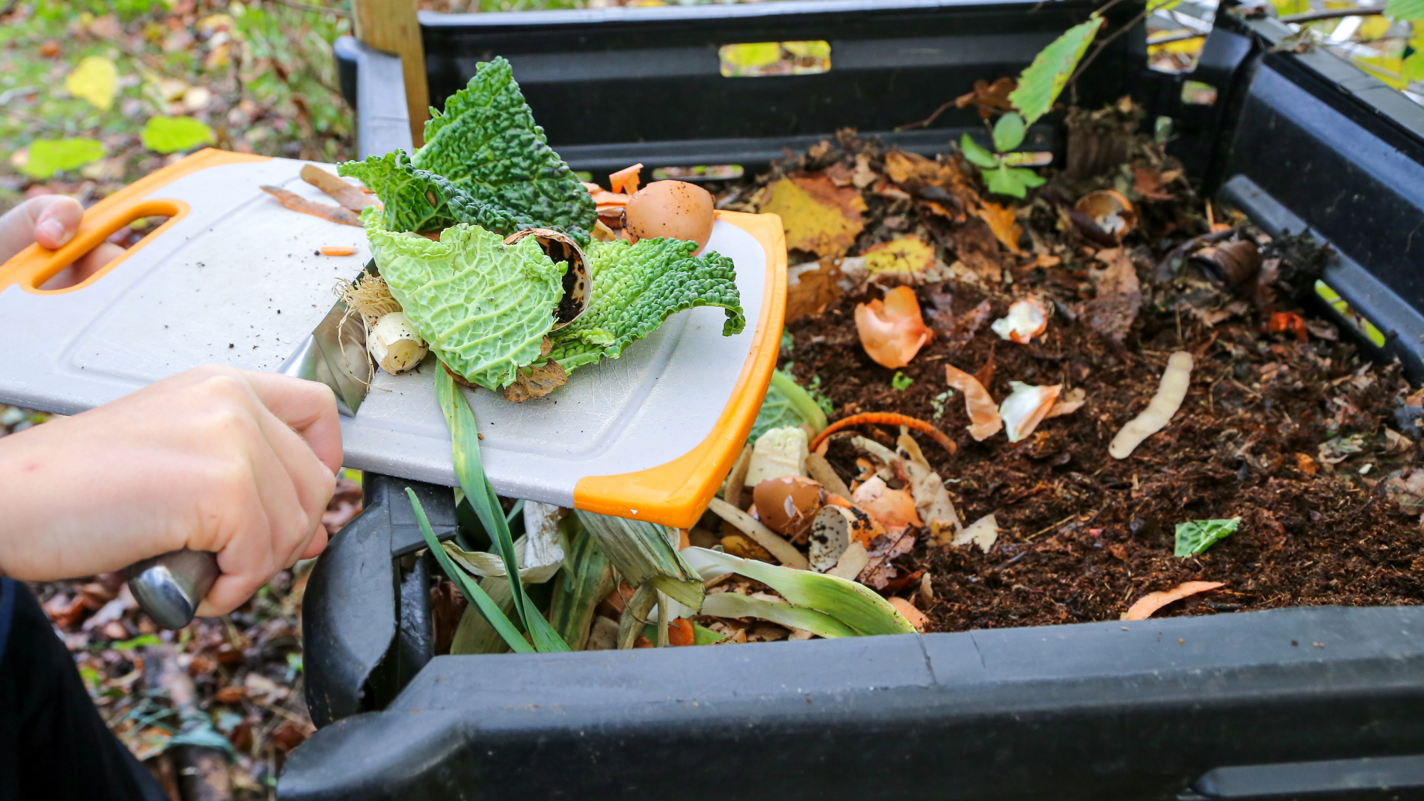 une personne jetant des déchets dans un bac de compostage
