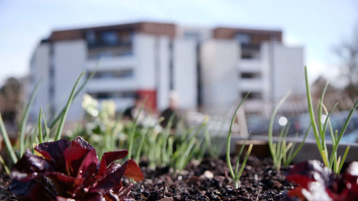 Programme neuf Connexion Bat H : Appartements neufs à Lormont référence 7790, aperçu n°7