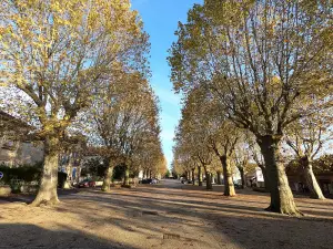 Photo de la commune de Salles