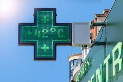 Actualité à Bordeaux - Canicule à Bordeaux : Bien choisir son quartier pour un été supportable
