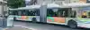 bus bordelais